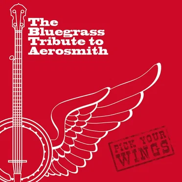 Pick Your Wings: The Bluegrass Tribute to Aerosmith