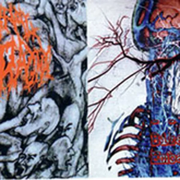 Carnal Diafragma / Bizarre Embalming