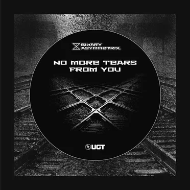 No More Tears From You by Binary Asymmetrix - album cover