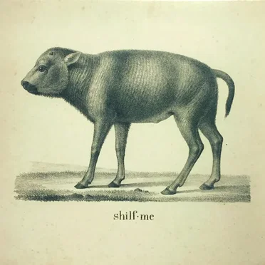 Me by shilf - album cover