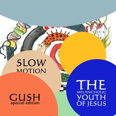 Slow Motion - Gush (Special Edition) by The Melancholic Youth of Jesus - album cover