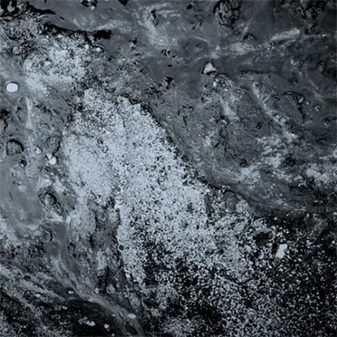Spillage by Foci's Left - album cover
