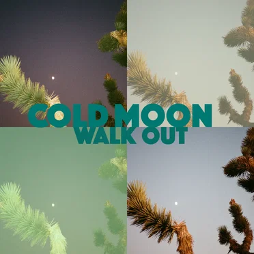 Walk Out by Cold Moon - album cover