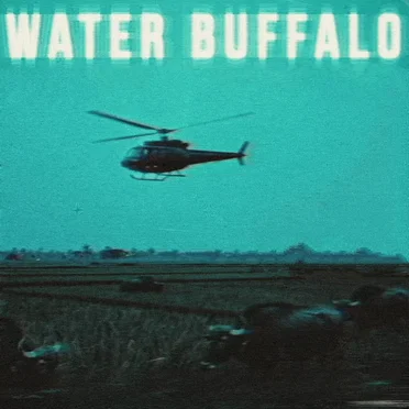 Water Buffalo