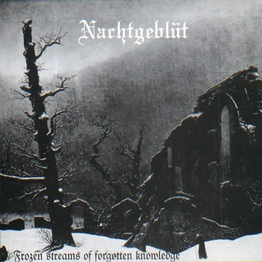 Frozen Streams of Forgotten Knowledge