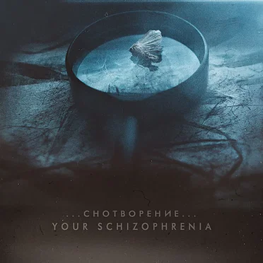 Снотворение by Your Schizophrenia - album cover