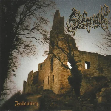 Falconry by Slechtvalk - album cover