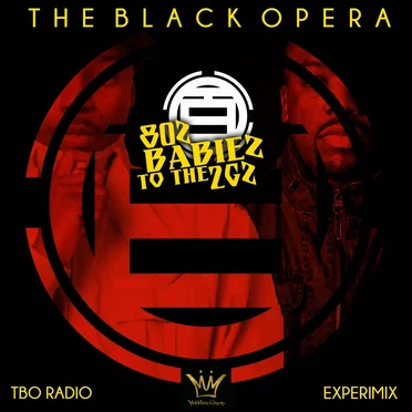 80z Babiez to the 2Gz (The ExperiMix) by The Black Opera - album cover