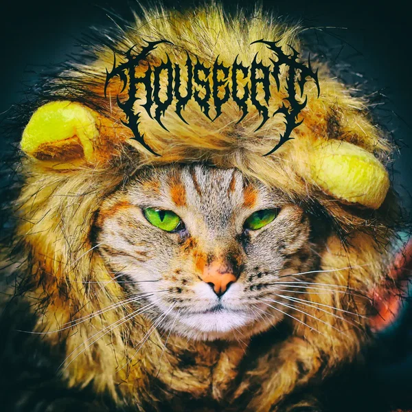 Housecat