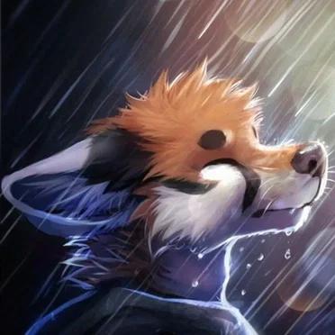 Rainy