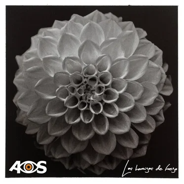 Las Hormigas de Fuego