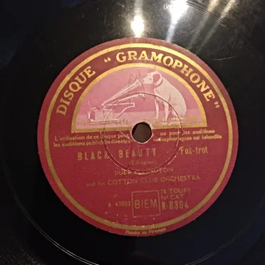 Black Beauty / Solitude