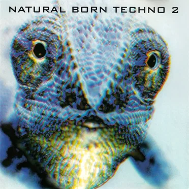 Natural Born Techno 2 by Various Artists - album cover