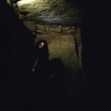 Cocon & Oiseau De Nuit