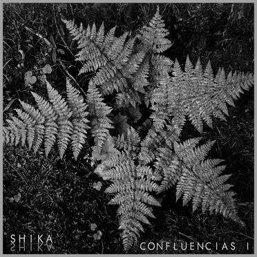 Confluencias I: Selva by Various Artists - album cover
