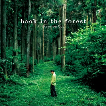 back in the forest by Coda - album cover