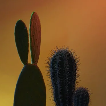Más tropical / Que te pasa