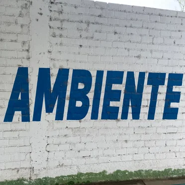 AMBIENTE