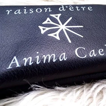 Anima Caelum