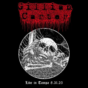 Live in Tampa, FL 8/31/2025