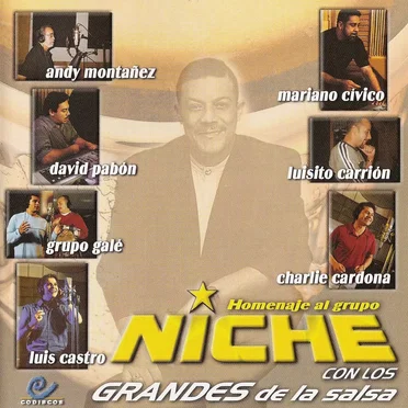 Homenaje al Grupo Niche con los grandes de la salsa by Various Artists - album cover