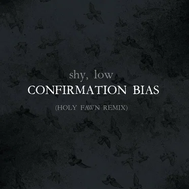 Confirmation Bias (Holy Fawn Remix)