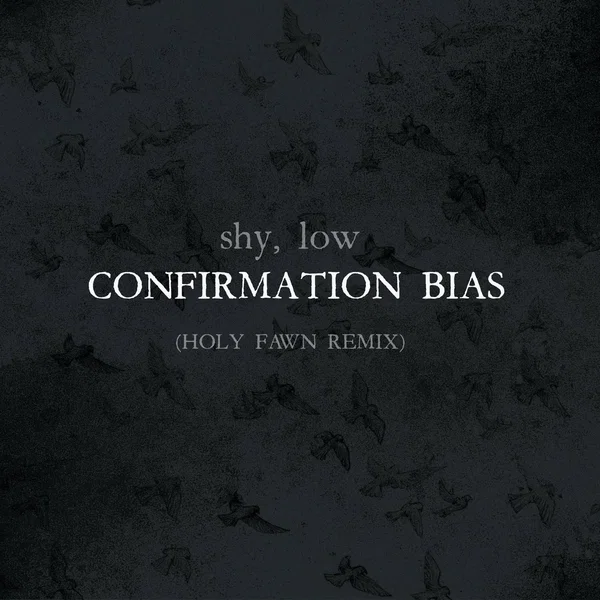 Confirmation Bias (Holy Fawn Remix)