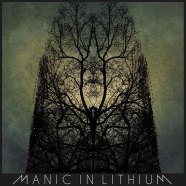 Manic in Lithium by Manic in Lithium - album cover