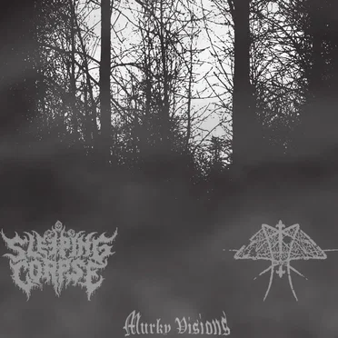Murky Visions
