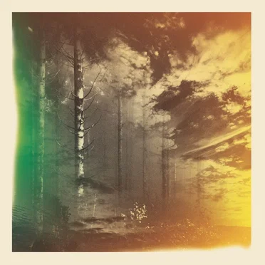 In the Summer Dusk