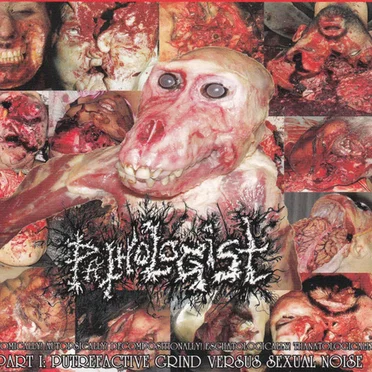 Anatomically! Autopsically! Decompositionally! Eschatologically! Thanatologically! Part I: Putrefactive Grind Versus Sexual Noise