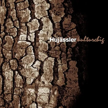 Kulturchig by Hujässler - album cover