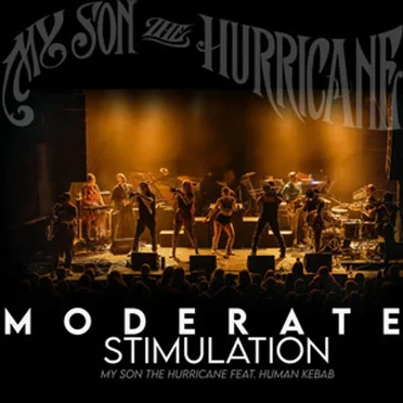 Moderate Stimulation by My Son the Hurricane - album cover