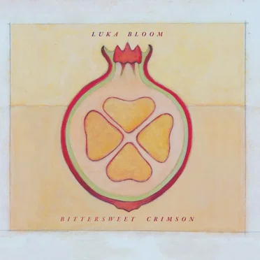 Luka Bloom
