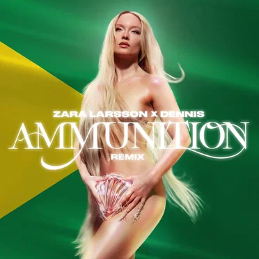 Ammunition (DENNIS remix)