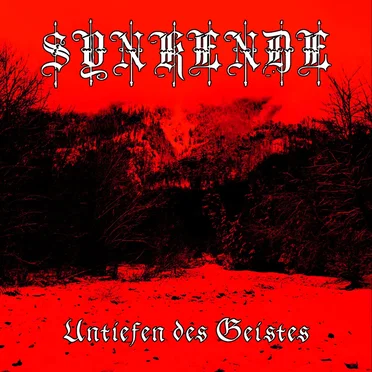 Untiefen des Geistes