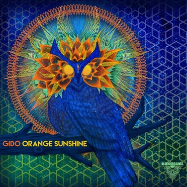 Orange Sunshine by Gido - album cover