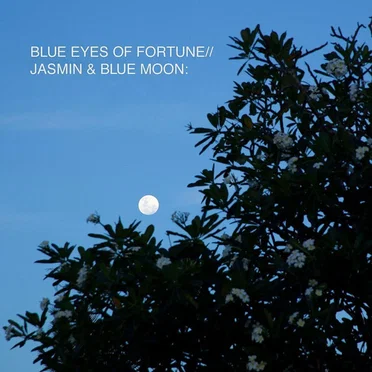 Jasmine & Blue Moon by Blue Eyes Of Fortune - album cover