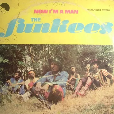 Now I'm A Man by The Funkees - album cover