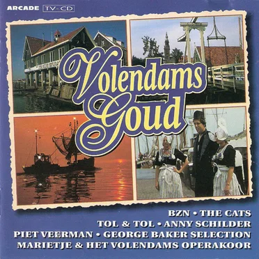 Volendams goud by Various Artists - album cover