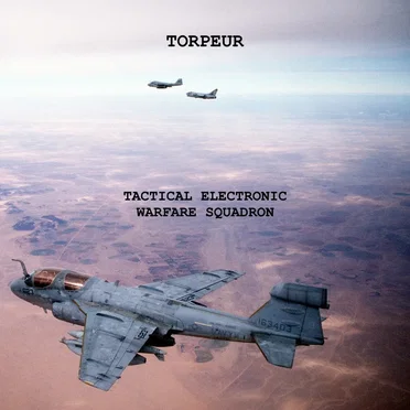 Tactical Electronic Warfare Squadron
