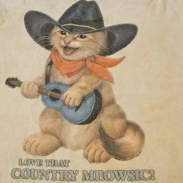 you ridin', cowboy?