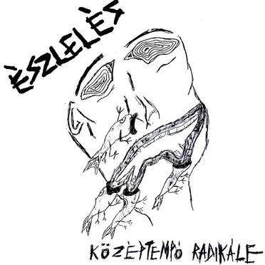Középtempó Radikále