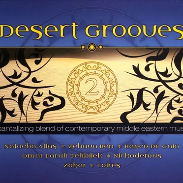 Desert Grooves 2 by Various Artists - album cover