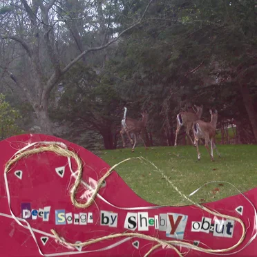 Deer Songs by Shelby Obzut - album cover