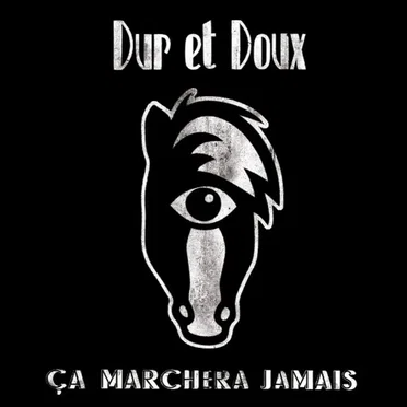 Dur et Doux - Ça marchera jamais by Various Artists - album cover