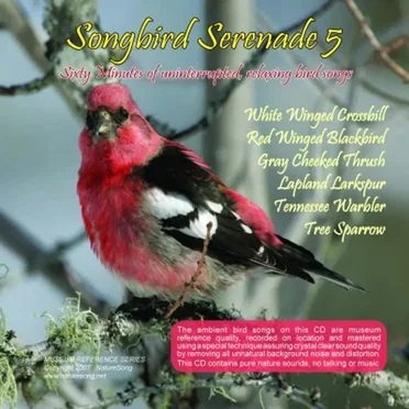 Songbird Serenade 5 by [nature sounds] - album cover