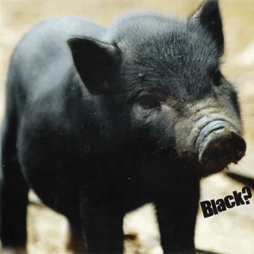 Black? by Spin Out Jenny - album cover