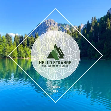 hello strange story #12 by Various Artists - album cover