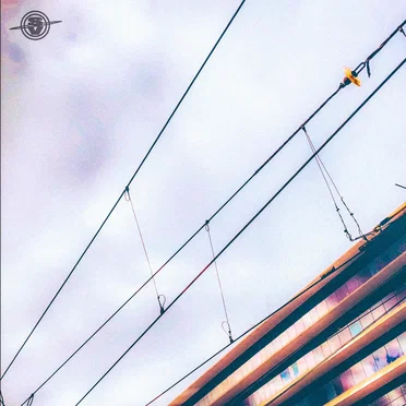 Train Lines